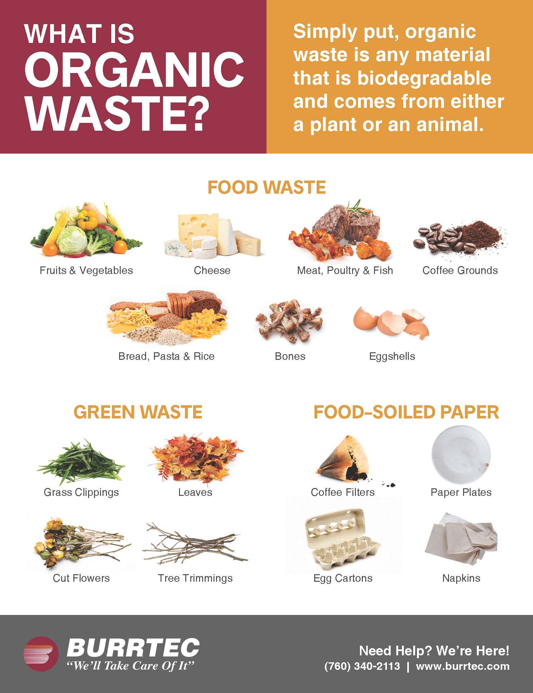 What Is Organic Waste_English