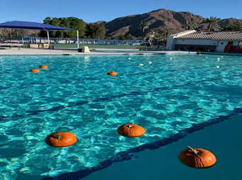 Pumpkin Pool