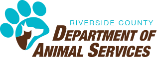 Riverside Animals