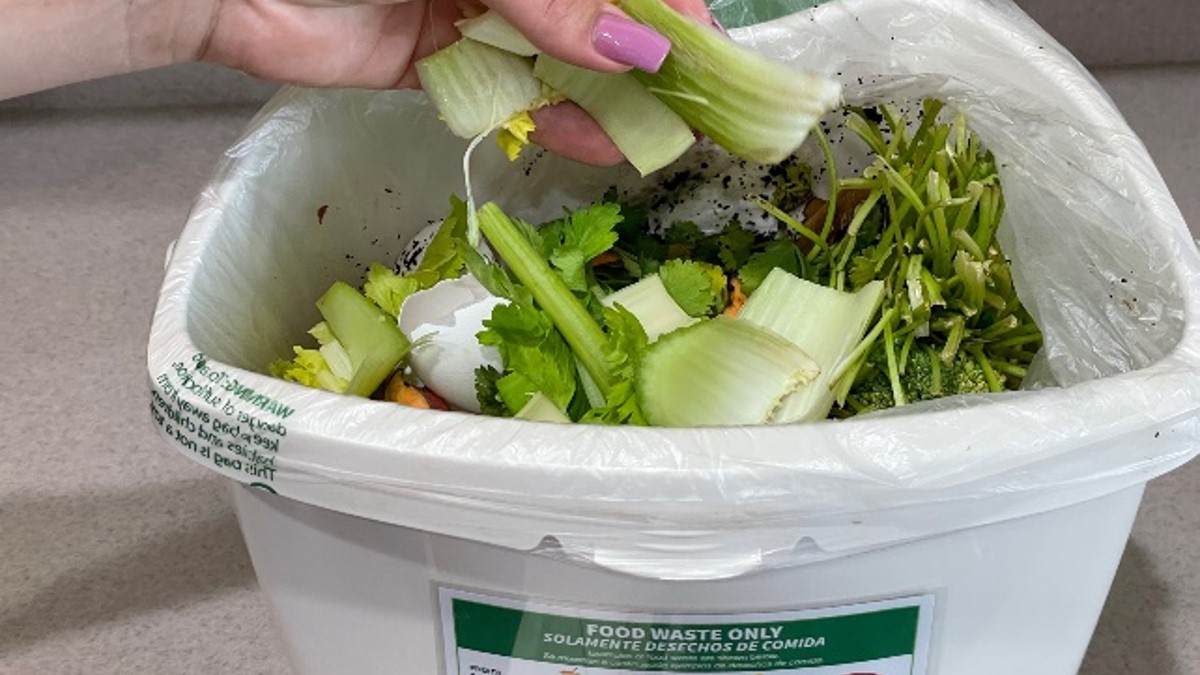 Food Waste Pail with Scraps